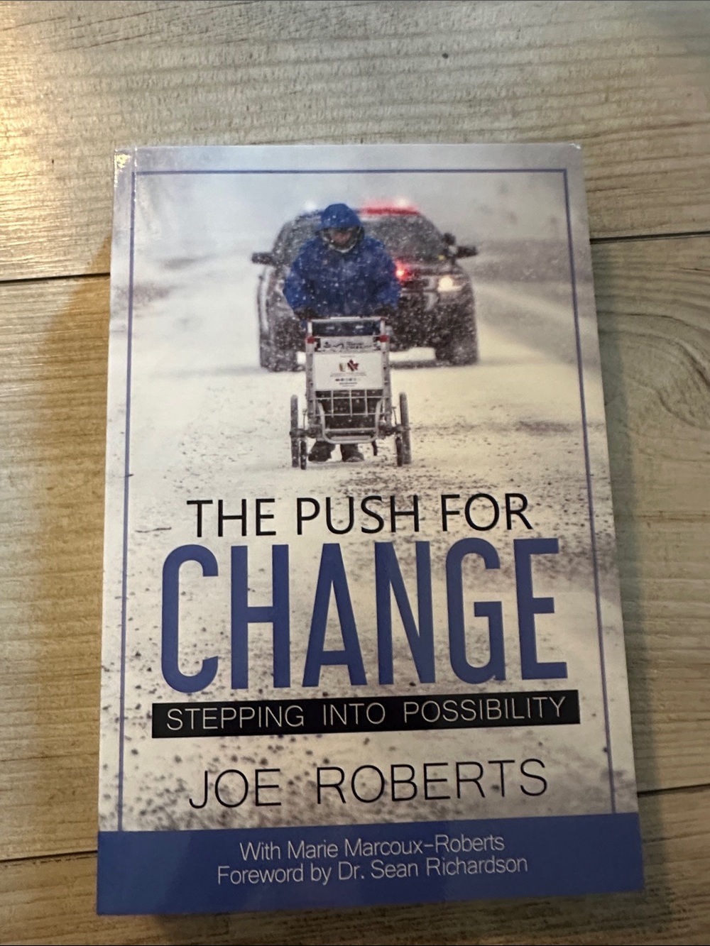 The Push for Change - Blue & White Book Back